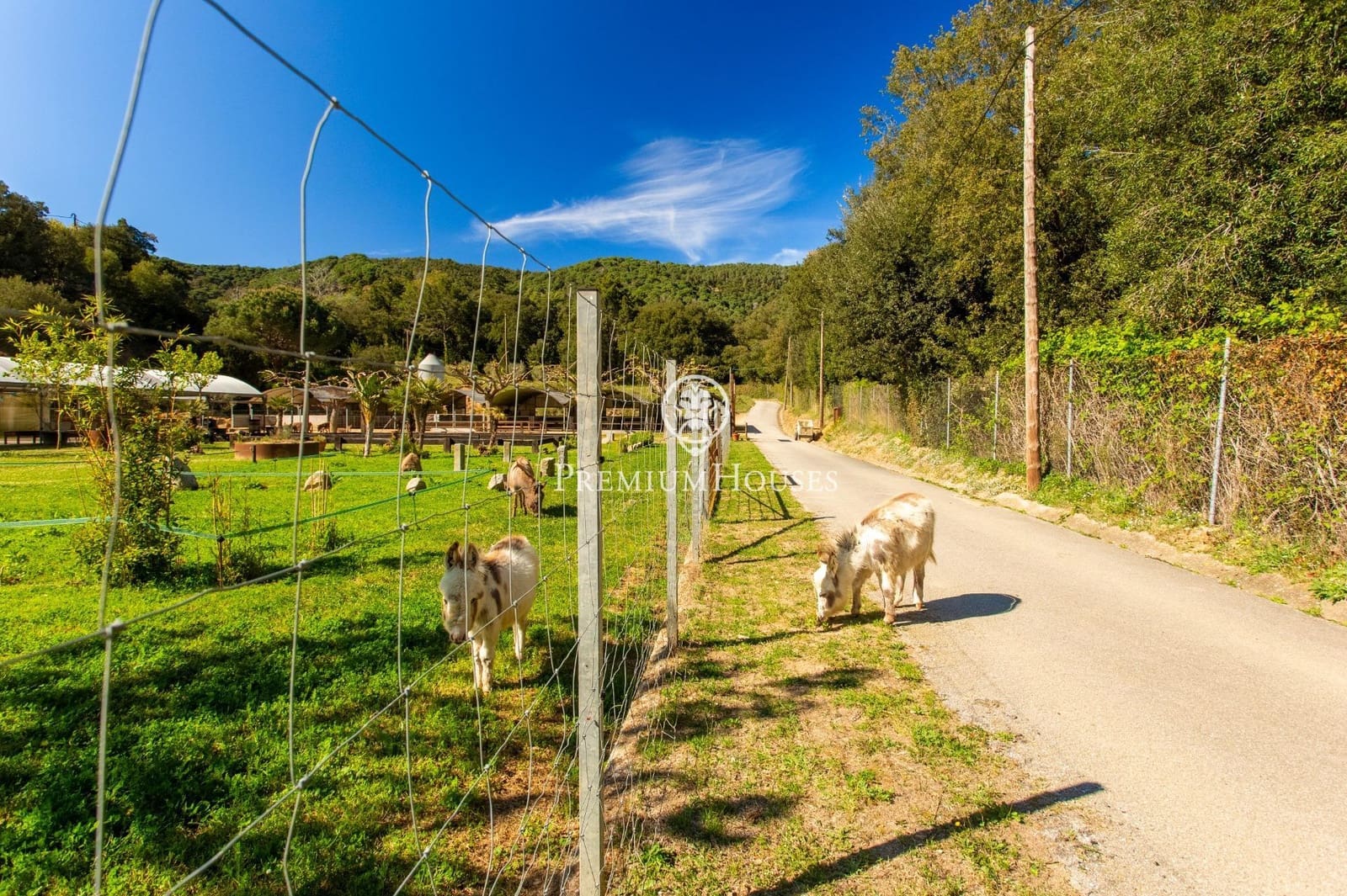 14 bedroom Finca/Country House for sale in Arenys de Munt with pool garage - € 2,950,000 (Ref: 9758955)