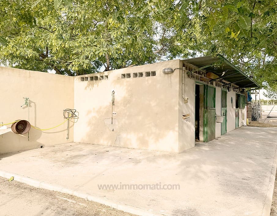 3 soveværelse Finca/Landehus til salg i Novelda med swimmingpool - € 315.000 (Ref: 8568937)