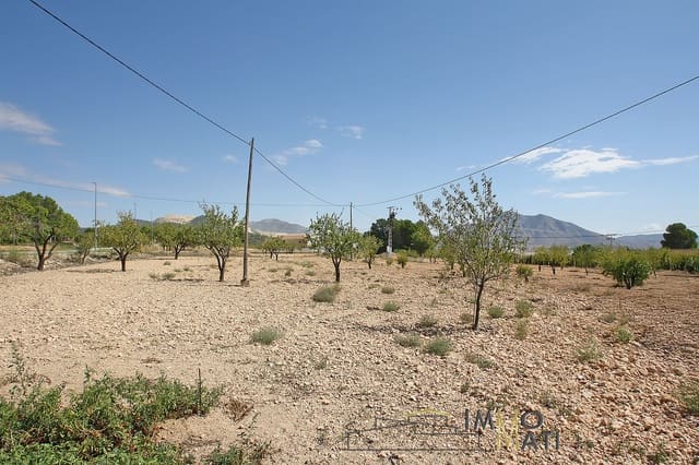 3 Zimmer Villa zu verkaufen in Pinoso mit Garage - 210.000 € (Ref: 9251456)