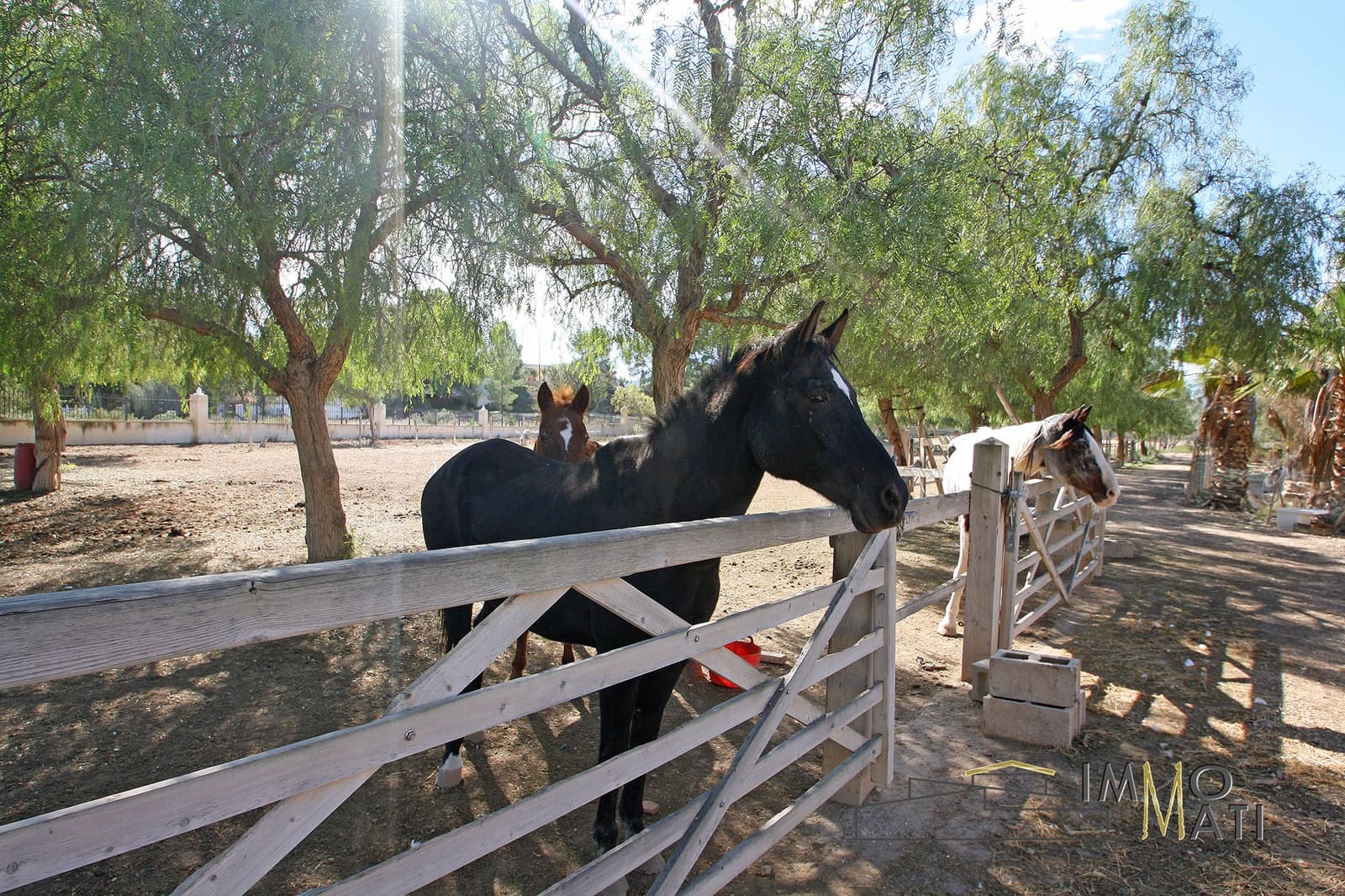 4 soverom Finca/Herregård til salgs i La Romana med svømmebasseng - € 349 000 (Ref: 9356956)