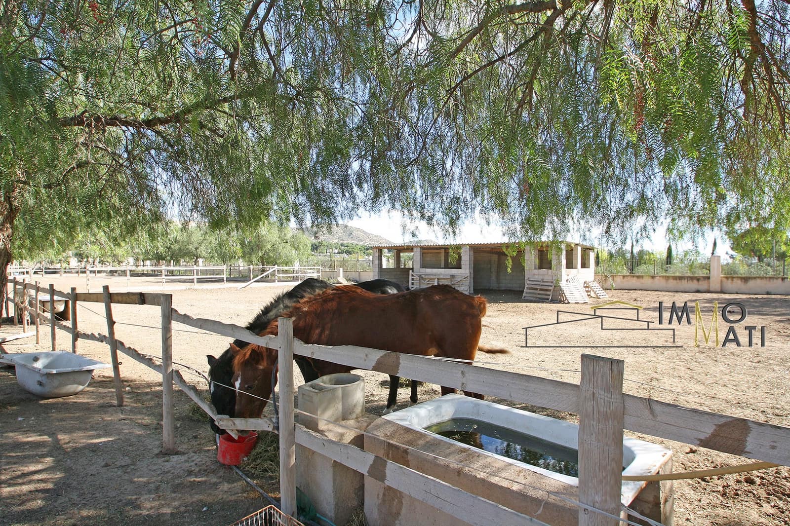 4 soverom Finca/Herregård til salgs i La Romana med svømmebasseng - € 349 000 (Ref: 9356956)