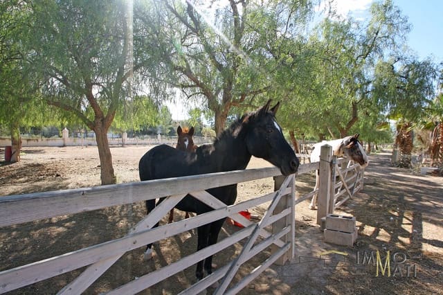 4 camera da letto Finca/Casa di Campagna in vendita in La Romana con piscina - 349.000 € (Rif: 9356956)