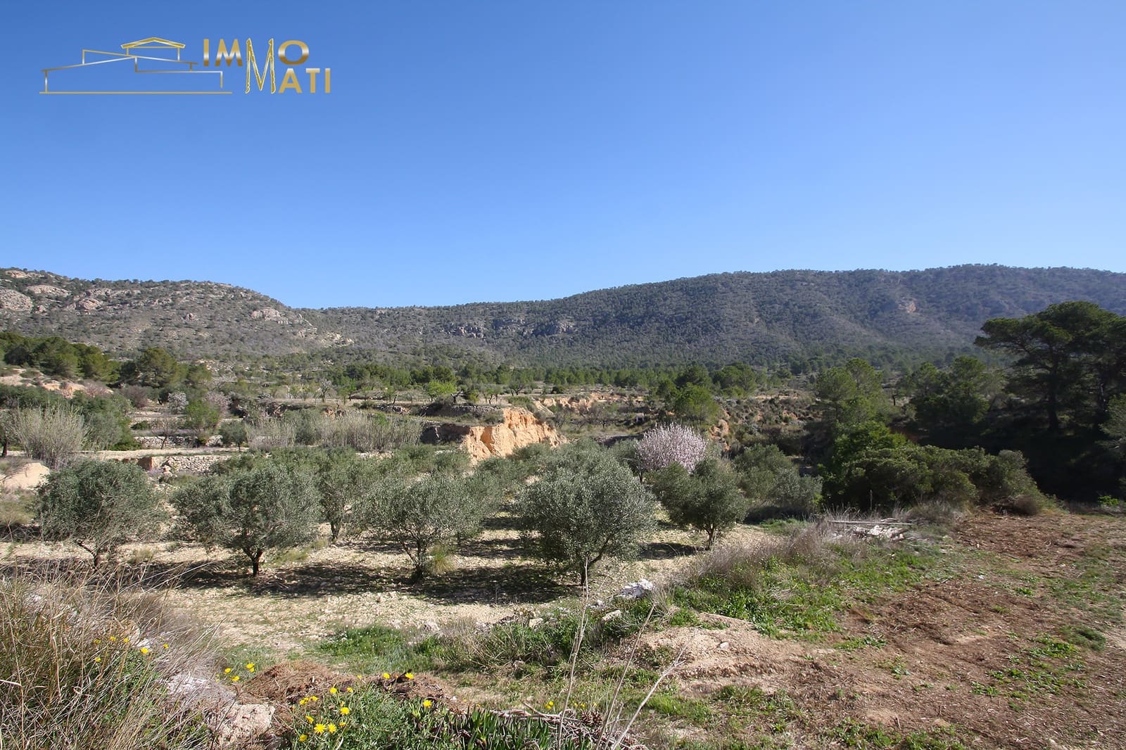 Finca/Casa Rural de 10 habitaciones en Monóvar / Monóver en venta - 595.000 € (Ref: 9665282)