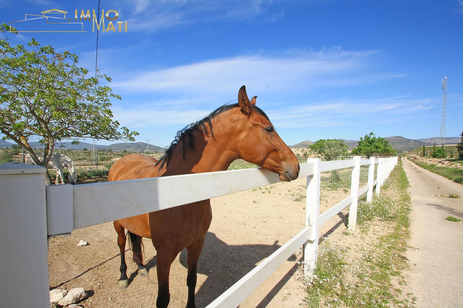 3 bedroom Finca/Country House for sale in Monovar / Monover with pool - € 199,995 (Ref: 9832740)