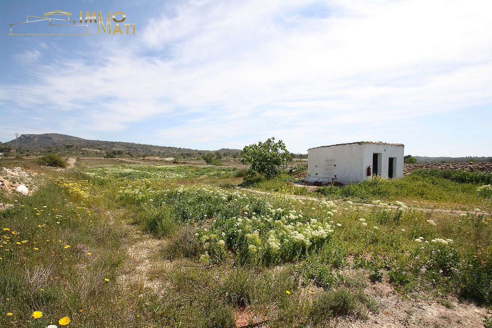 3 bedroom Finca/Country House for sale in Monovar / Monover with pool - € 199,995 (Ref: 9832740)