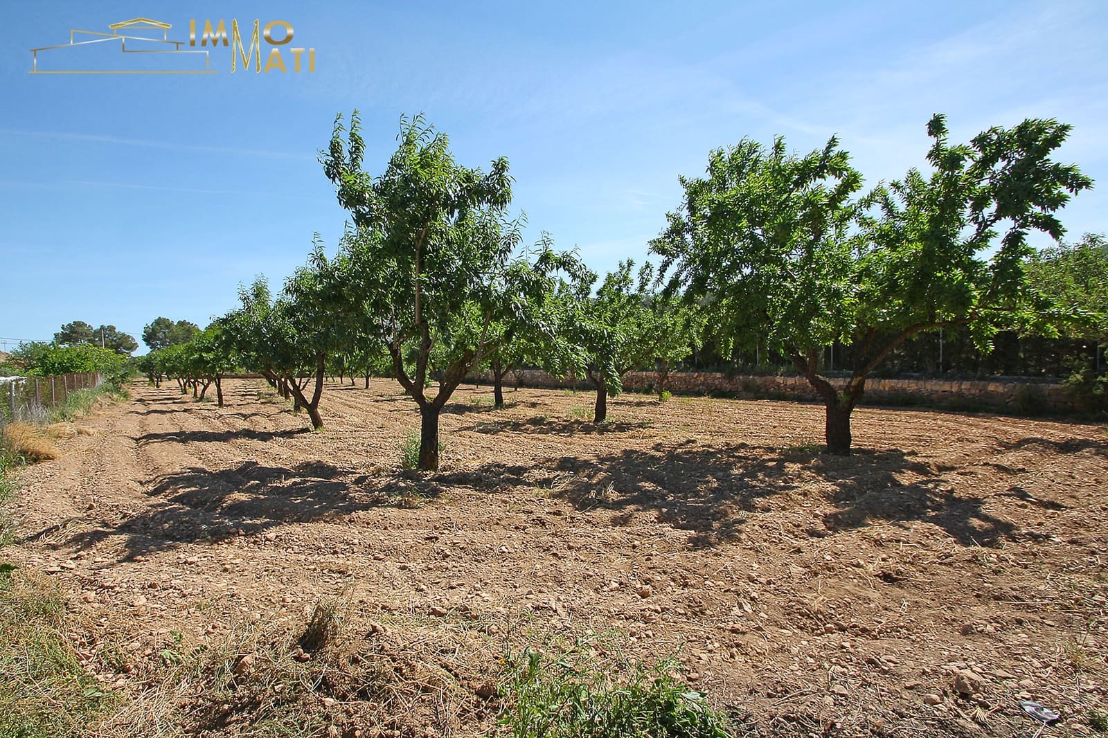 5 bedroom Finca/Country House for sale in La Romana - € 325,000 (Ref: 9841328)
