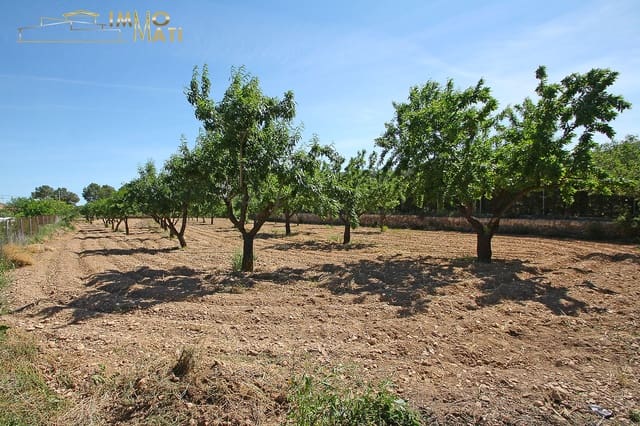 5 slaapkamer Finca/Landhuis te koop in La Romana - € 325.000 (Ref: 9841328)