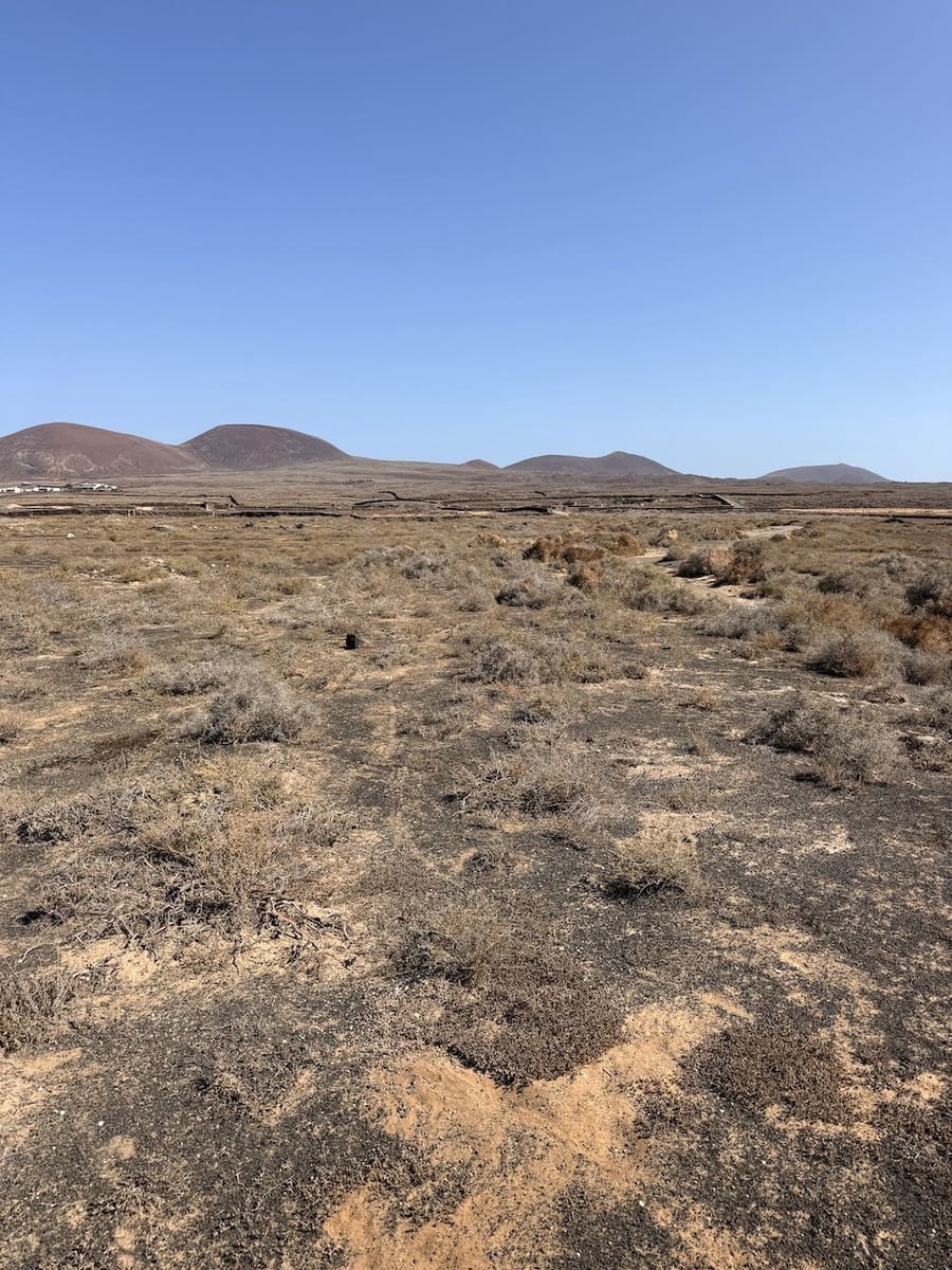 Undeveloped Land for sale in Lajares - € 99,000 (Ref: 10091414)