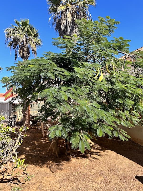 5 soveværelse Villa til salg i Corralejo med garage - € 525.000 (Ref: 7912891)