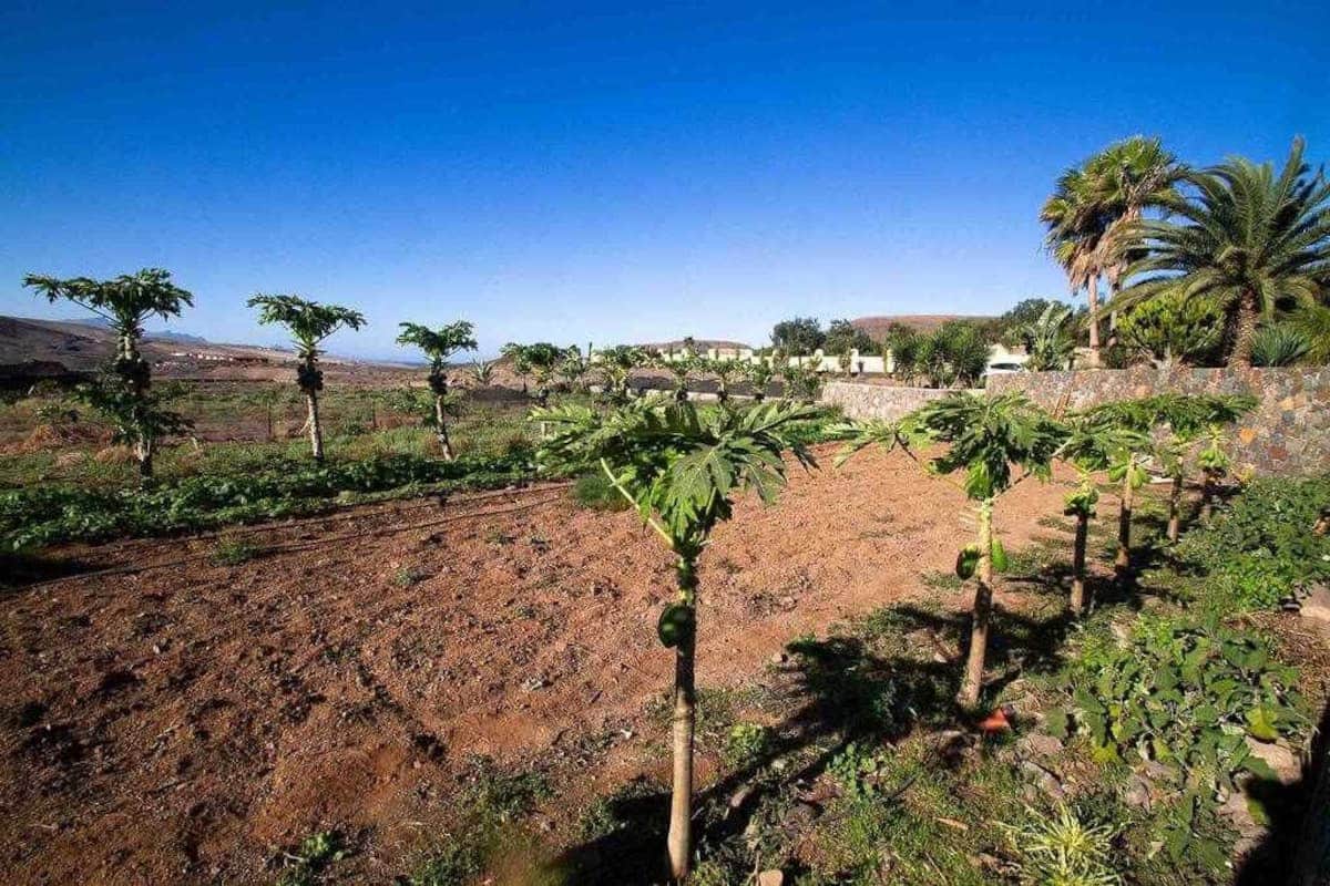 9 soverom Finca/Herregård til salgs i La Pared med garasje - € 1 500 000 (Ref: 8899656)