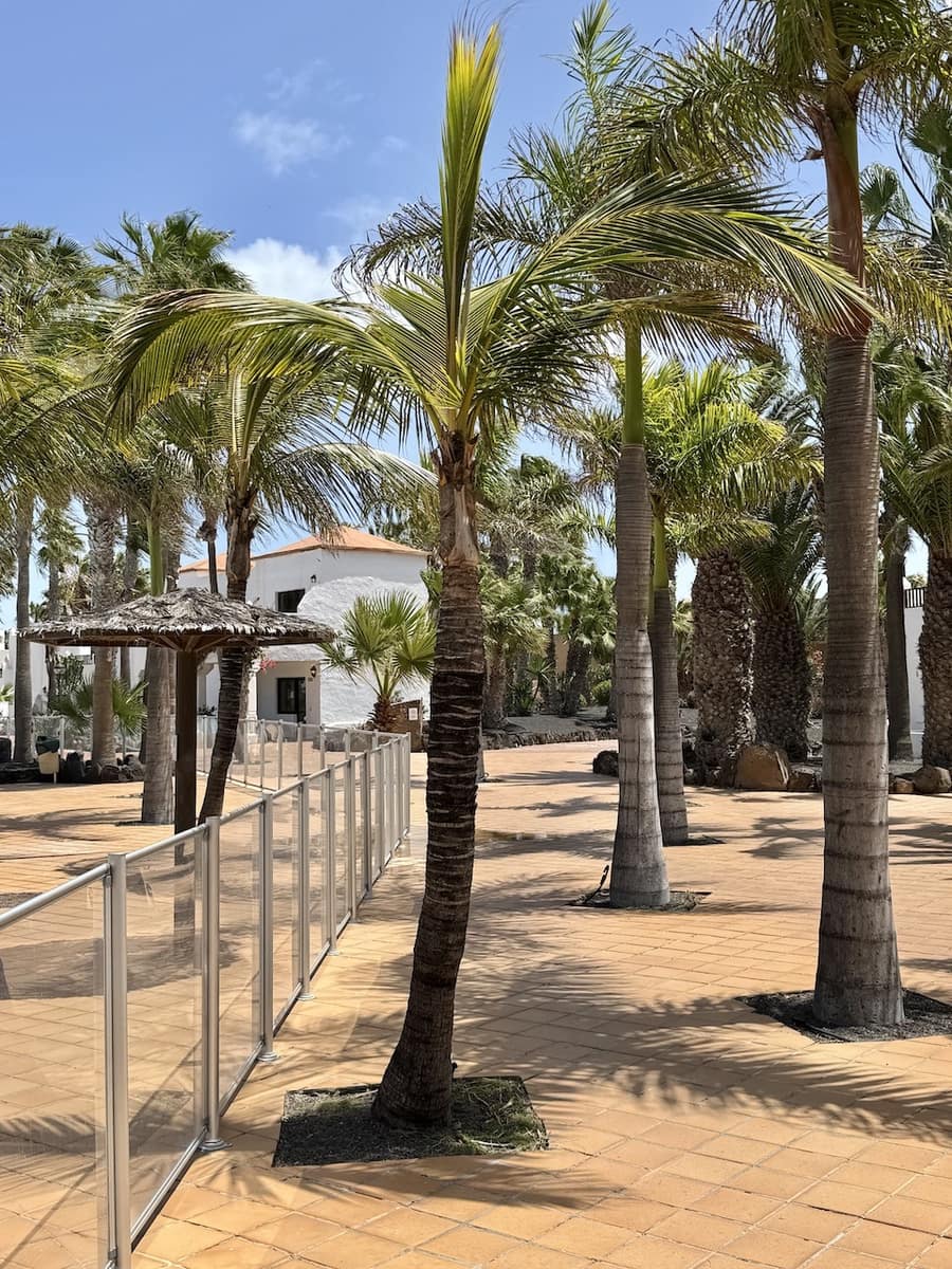 1 soveværelse Lejlighed til salg i Corralejo med swimmingpool garage - € 147.870 (Ref: 8942608)