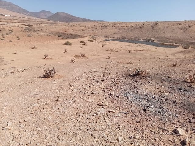 Rakentamaton maa myytävänä paikassa Tindaya, La Oliva - 46 000 € (Ref: 9009232)