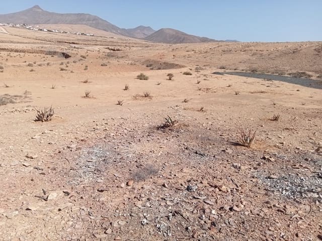 Rakentamaton maa myytävänä paikassa Tindaya, La Oliva - 46 000 € (Ref: 9009232)