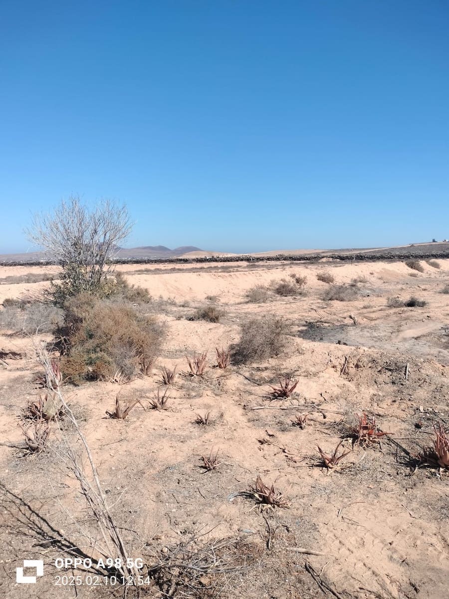 Ubebygd land til salgs i Lajares - € 49 000 (Ref: 9074249)