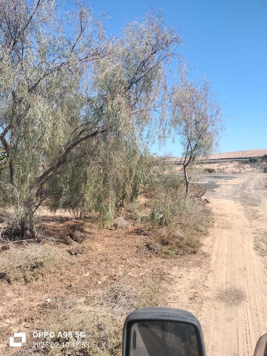 Ubebygd land til salgs i Lajares - € 49 000 (Ref: 9074249)