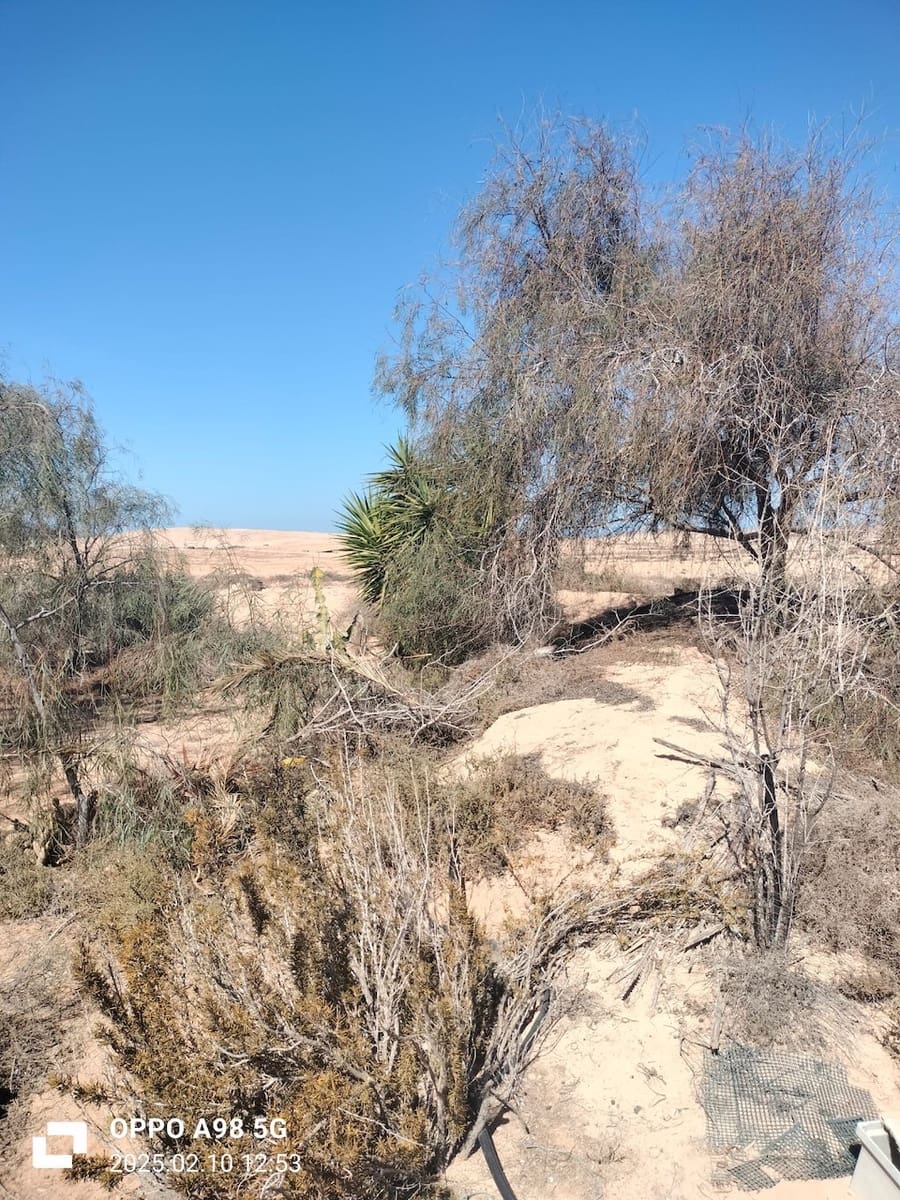 Ubebygd land til salgs i Lajares - € 49 000 (Ref: 9074249)