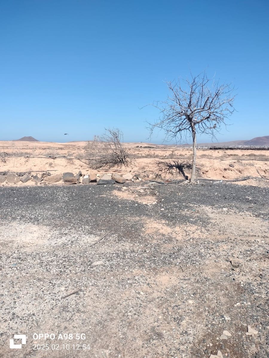 Ubebygd land til salgs i Lajares - € 49 000 (Ref: 9074249)