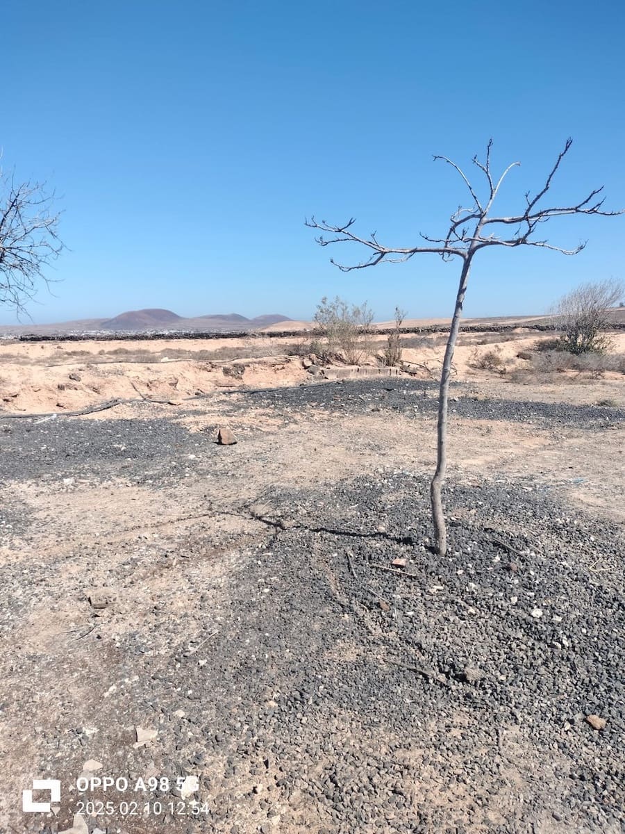 Ubebygd land til salgs i Lajares - € 49 000 (Ref: 9074249)