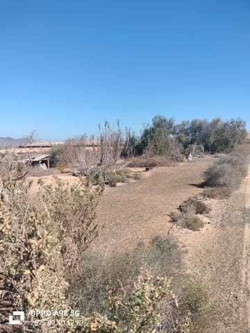 Landgrundstück zu verkaufen in Lajares, La Oliva - 49.000 € (Ref: 9074249)