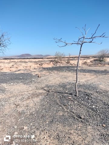 Landgrundstück zu verkaufen in Lajares, La Oliva - 49.000 € (Ref: 9074249)