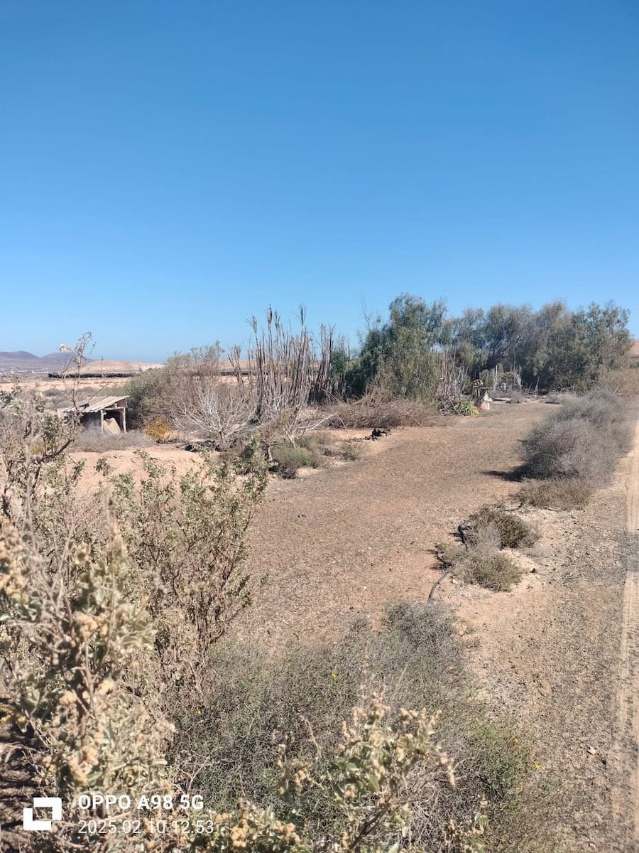 Terre non Aménagée à vendre à Lajares - 49 000 € (Ref: 9074249)