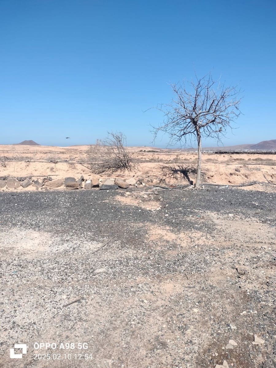 Terre non Aménagée à vendre à Lajares - 49 000 € (Ref: 9074249)