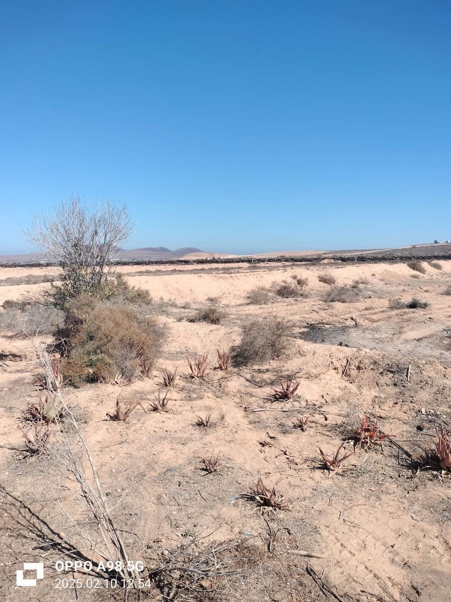 Terre non Aménagée à vendre à Lajares - 49 000 € (Ref: 9074249)