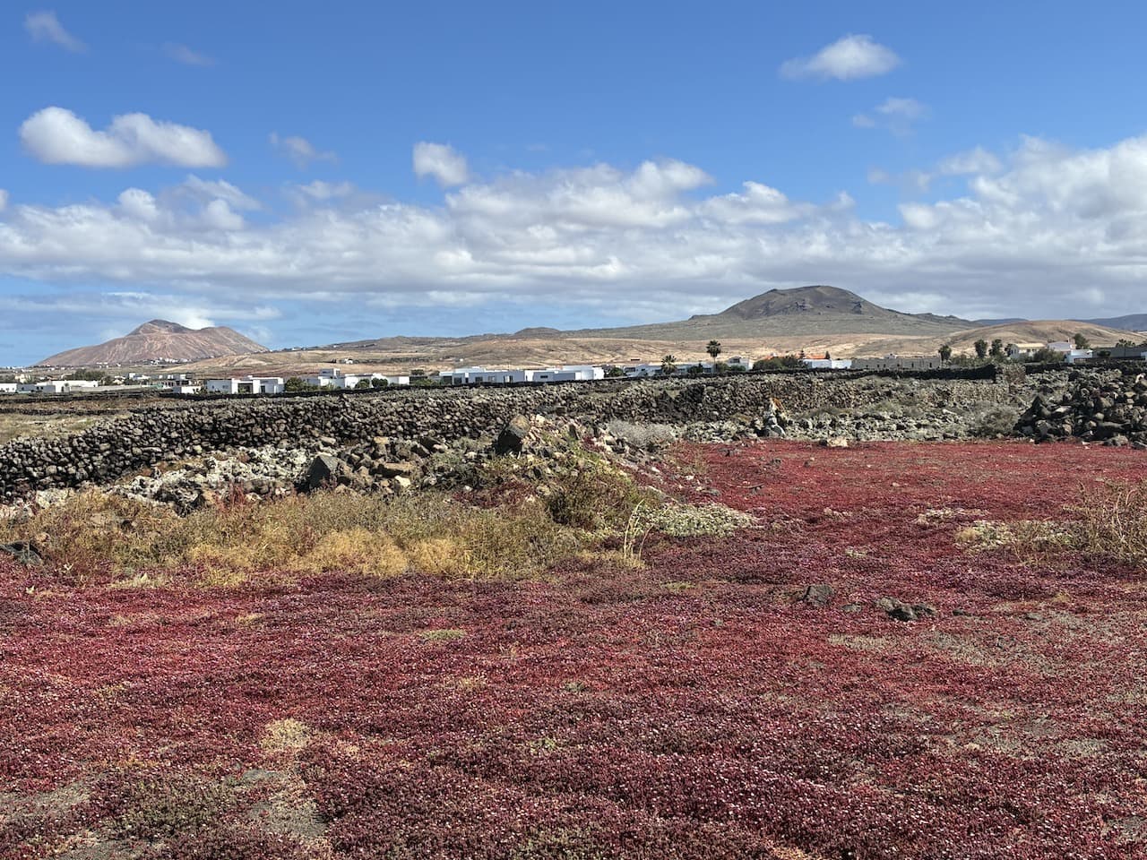 Undeveloped Land for sale in Lajares - € 385,000 (Ref: 9850442)