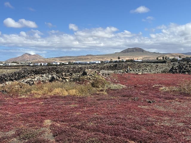 Terre non Aménagée à vendre à Lajares, La Oliva - 385 000 € (Ref: 9850442)
