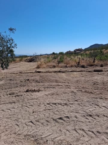 2 soveværelse Finca/Landehus til salg i La Romana - € 115.000 (Ref: 10034463)