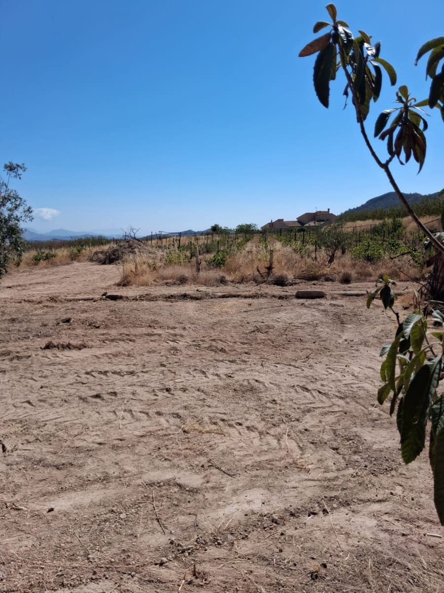 2 slaapkamer Finca/Landhuis te koop in La Romana - € 115.000 (Ref: 10034463)