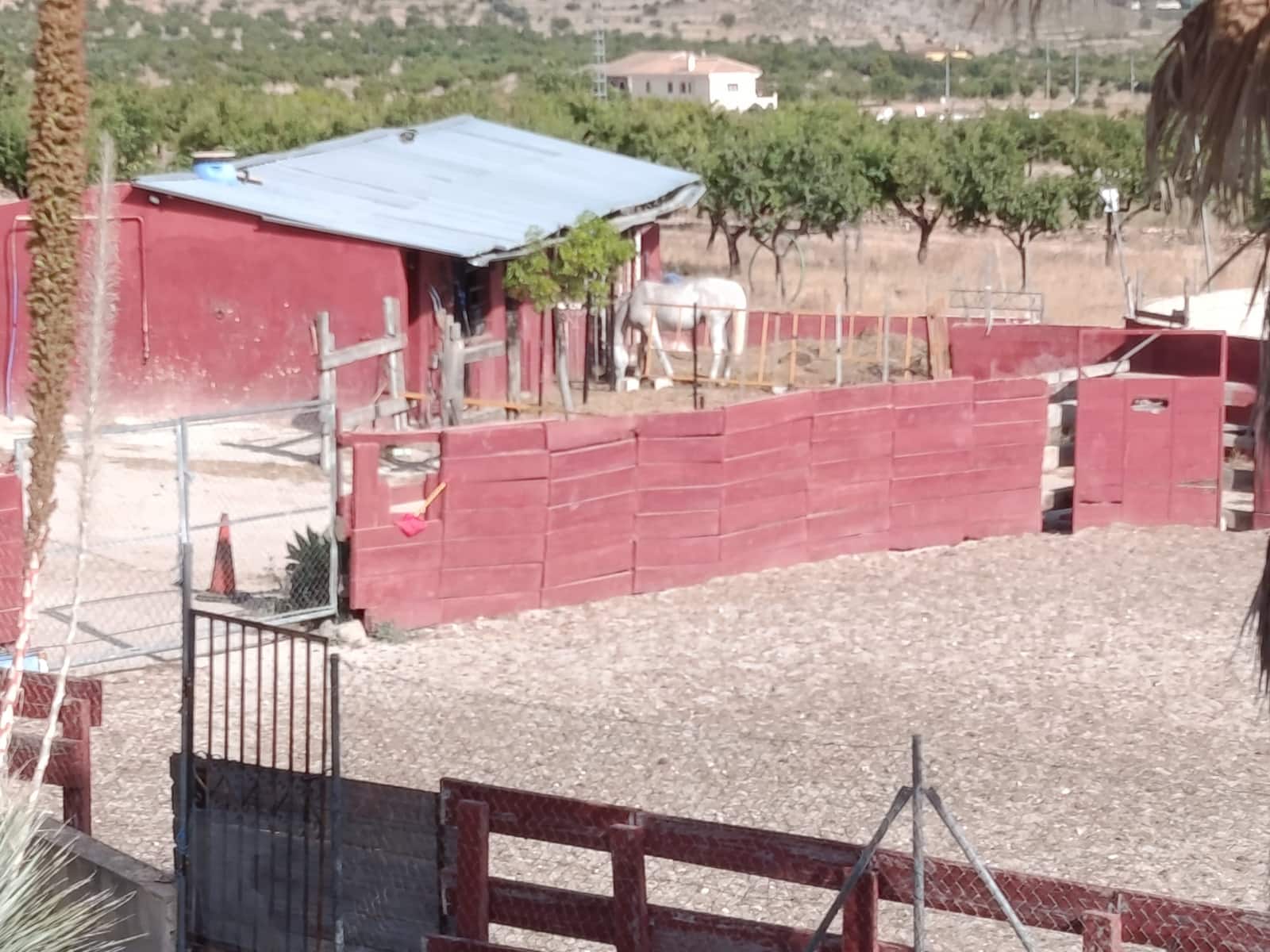 3 camera da letto Finca/Casa di Campagna in vendita in Barbarroja con garage - 198.000 € (Rif: 10045915)