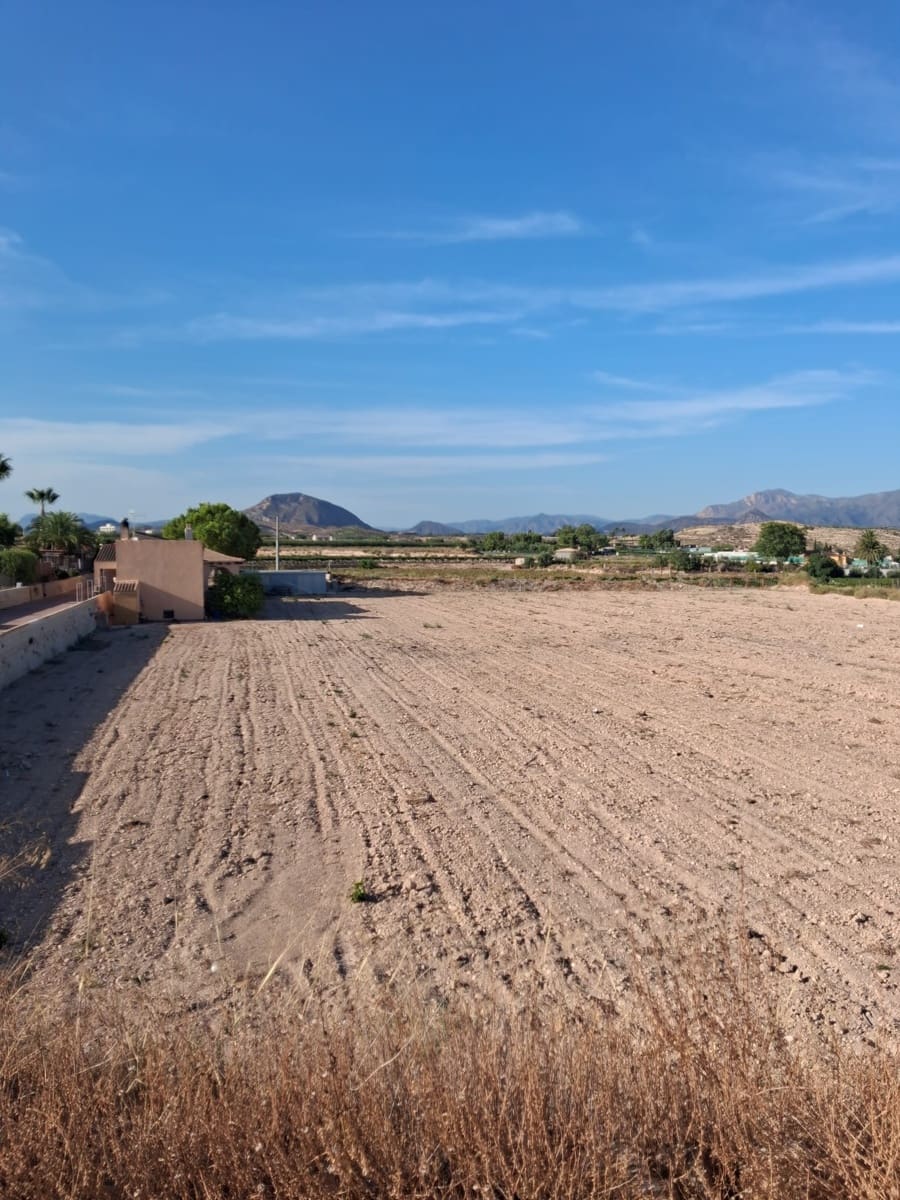 2 soverom Finca/Herregård til salgs i Novelda - € 320 000 (Ref: 10073317)