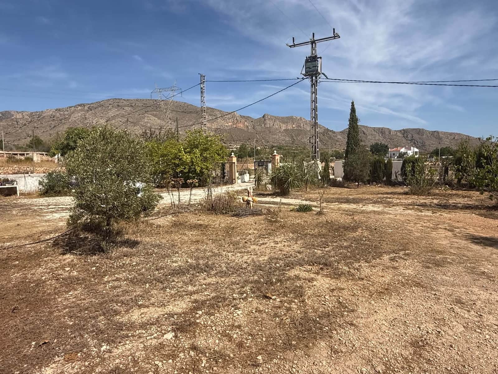 4 quarto Quinta/Casa Rural para venda em Hondon de las Nieves com piscina - 238 548 € (Ref: 10086694)