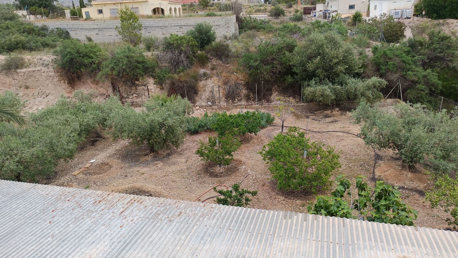 3 bedroom Finca/Country House for sale in Albatera with pool garage - € 260,000 (Ref: 10181724)