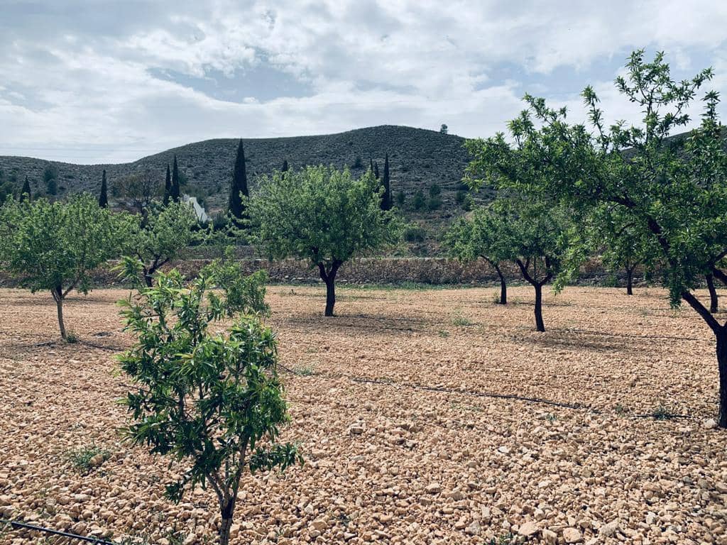 Bouwgrond te koop in La Romana - € 139.950 (Ref: 6797015)