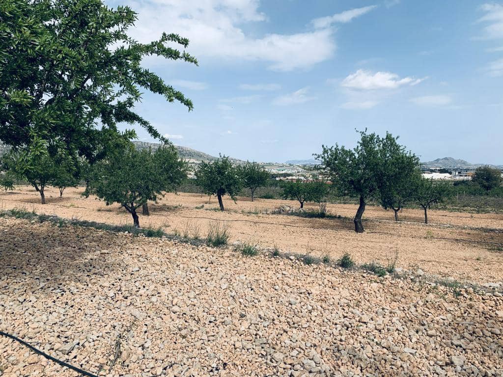 Bouwgrond te koop in La Romana - € 139.950 (Ref: 6797015)