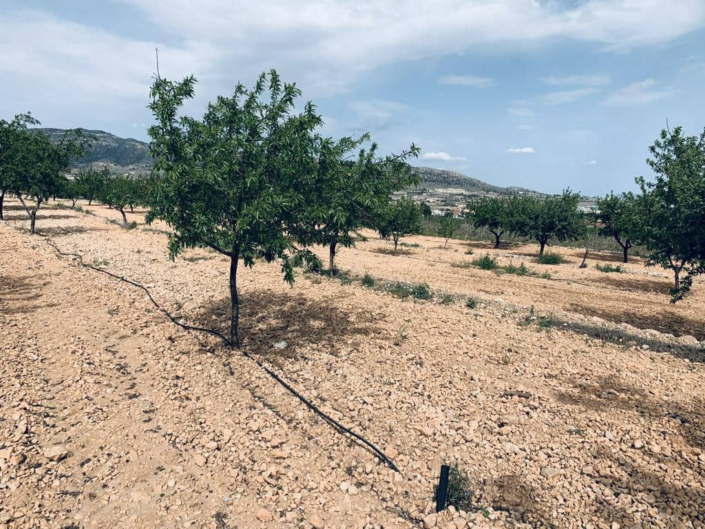 Bouwgrond te koop in La Romana - € 139.950 (Ref: 6797015)