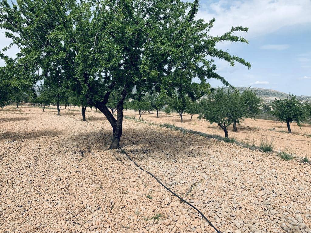 Bouwgrond te koop in La Romana - € 139.950 (Ref: 6797015)