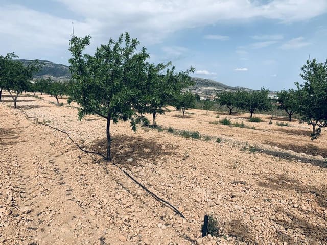 Bouwgrond te koop in La Romana - € 139.950 (Ref: 6797015)