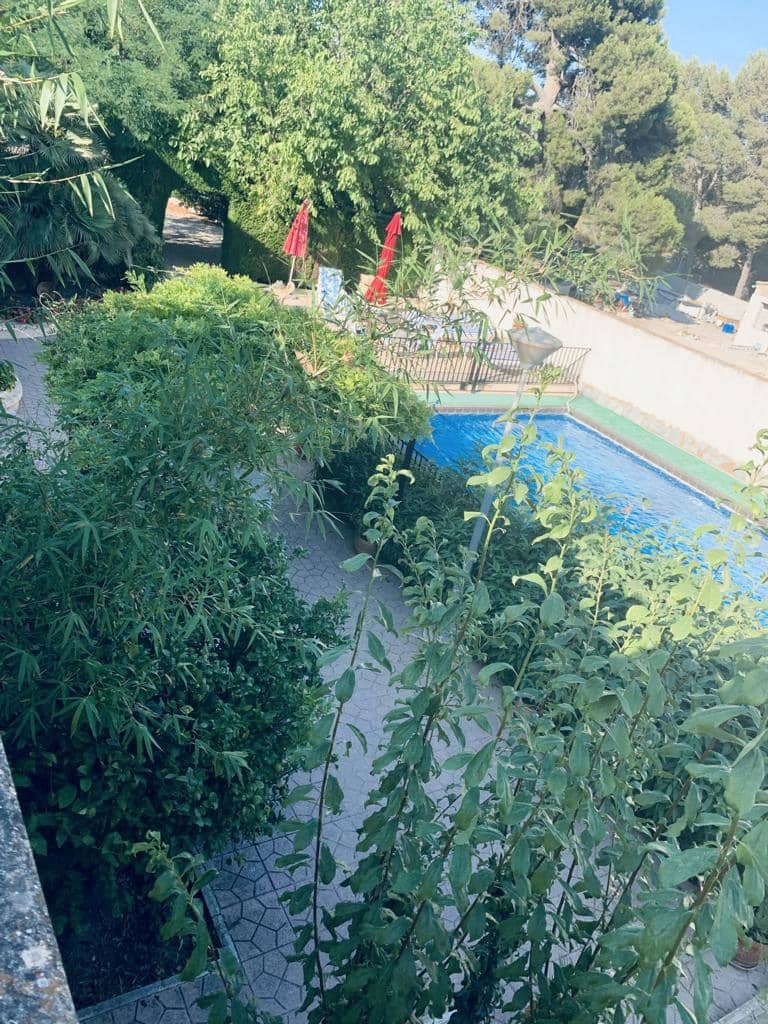 9 chambre Finca/Maison de Campagne à vendre à Monovar / Monover avec piscine garage - 599 950 € (Ref: 6970690)