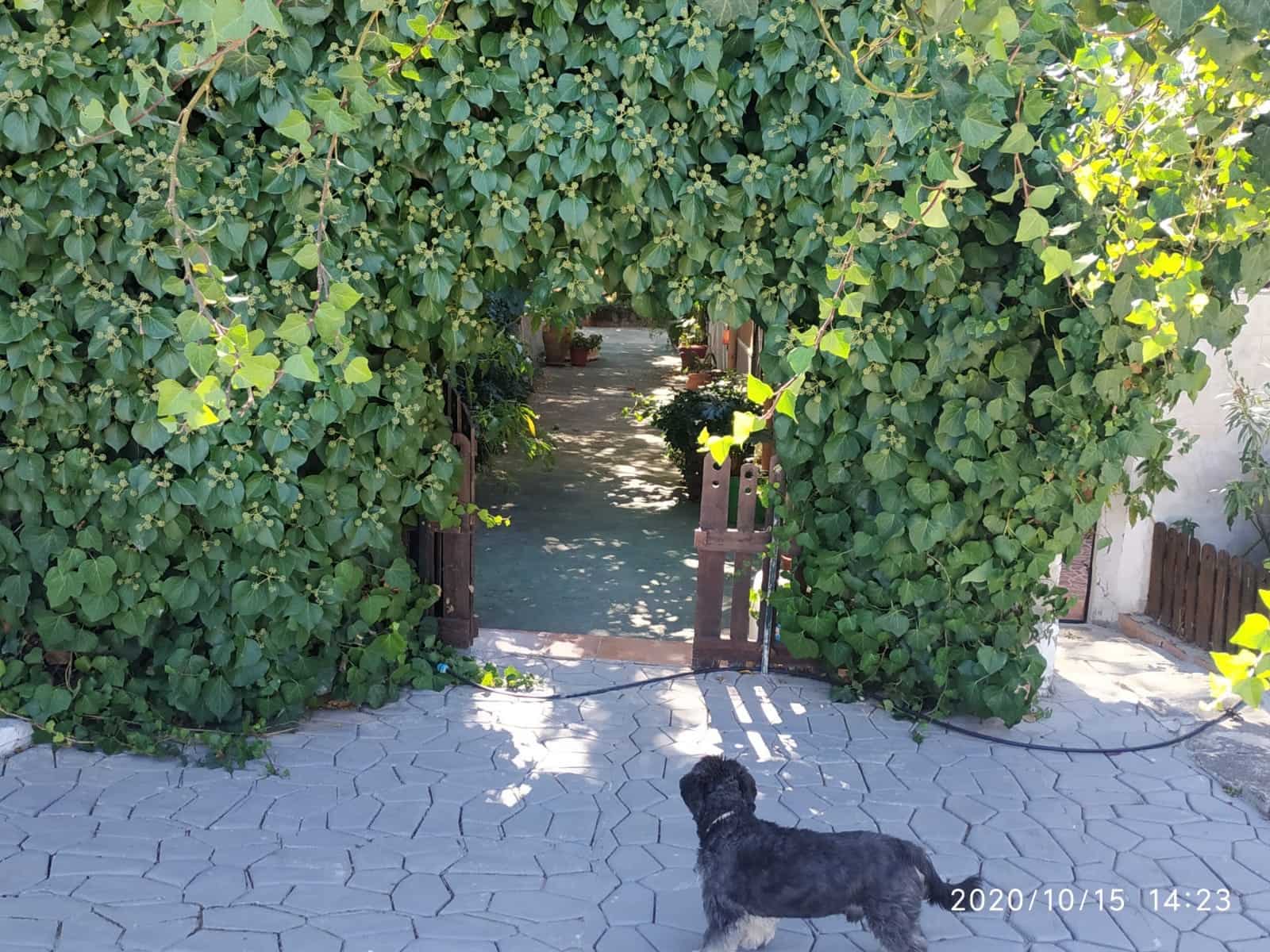 6 slaapkamer Finca/Landhuis te koop in Chinorlet / Xinorlet met zwembad - € 289.500 (Ref: 7326667)