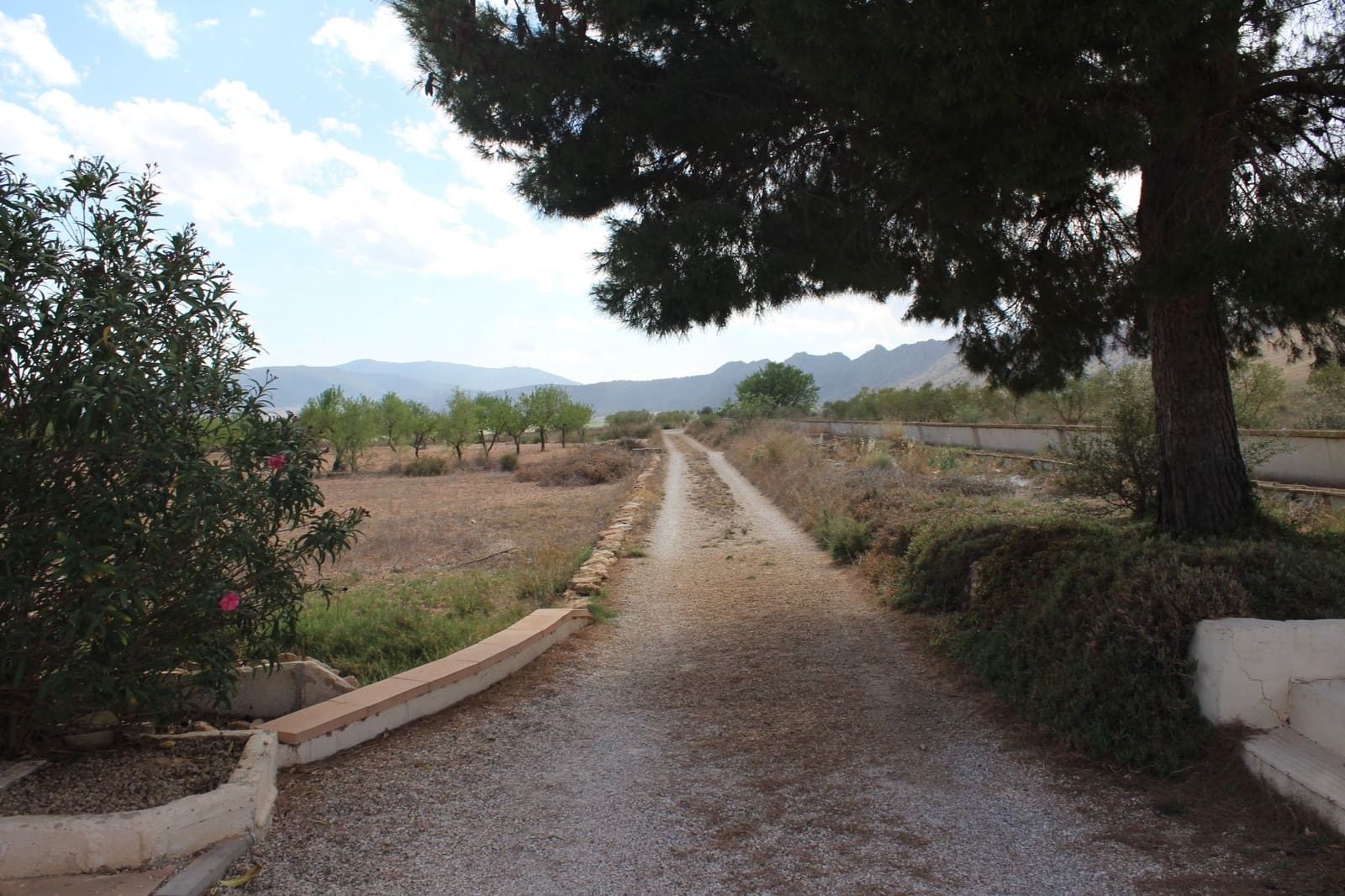 4 bedroom Finca/Country House for sale in Yecla with pool garage €