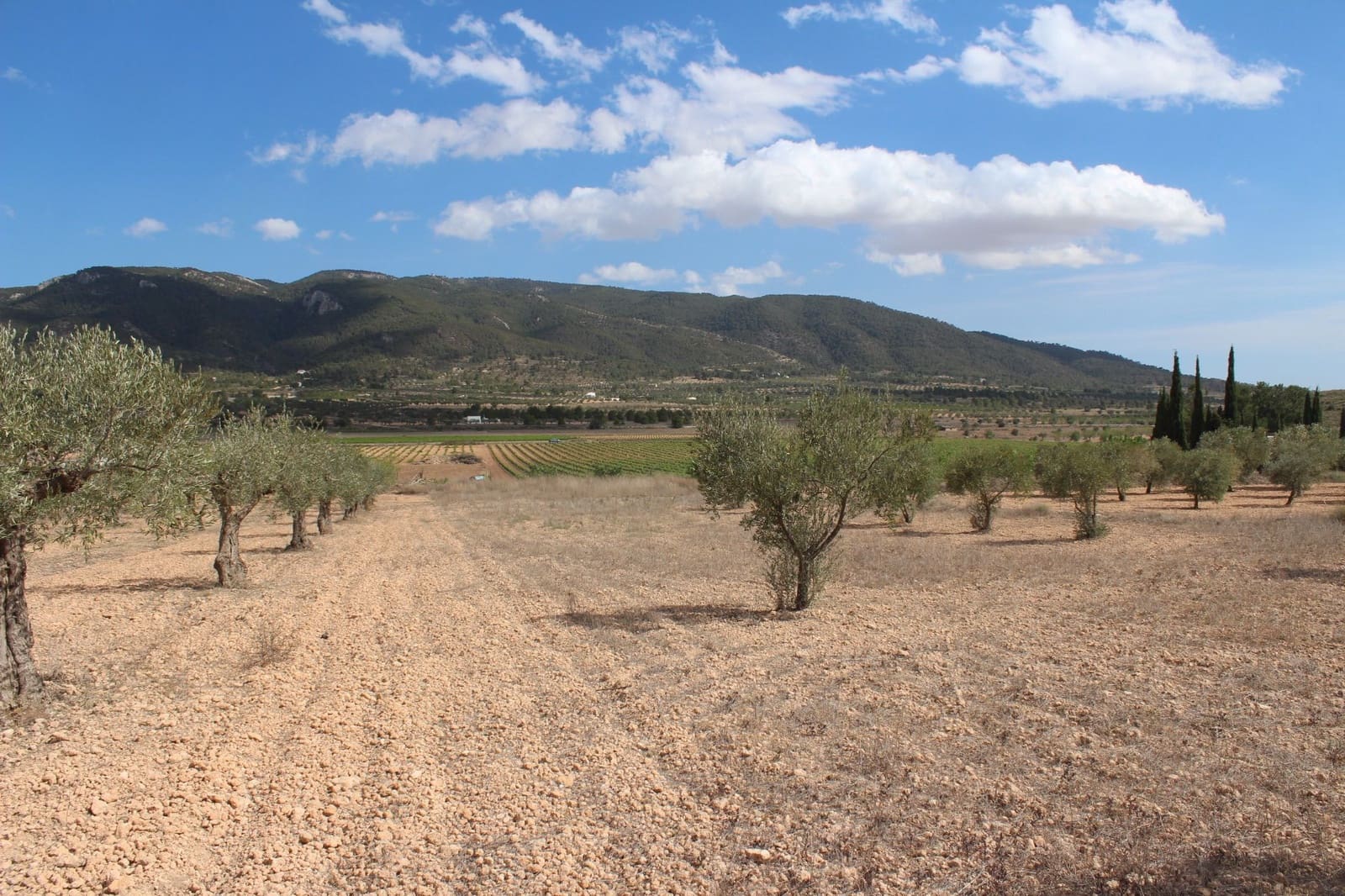 4 bedroom Finca/Country House for sale in Yecla with pool garage €