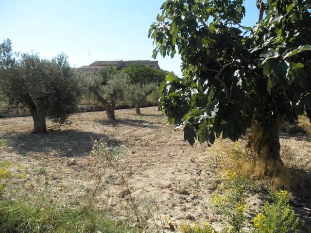 5 bedroom Finca/Country House for sale in La Romana - € 110,000 (Ref: 7697062)