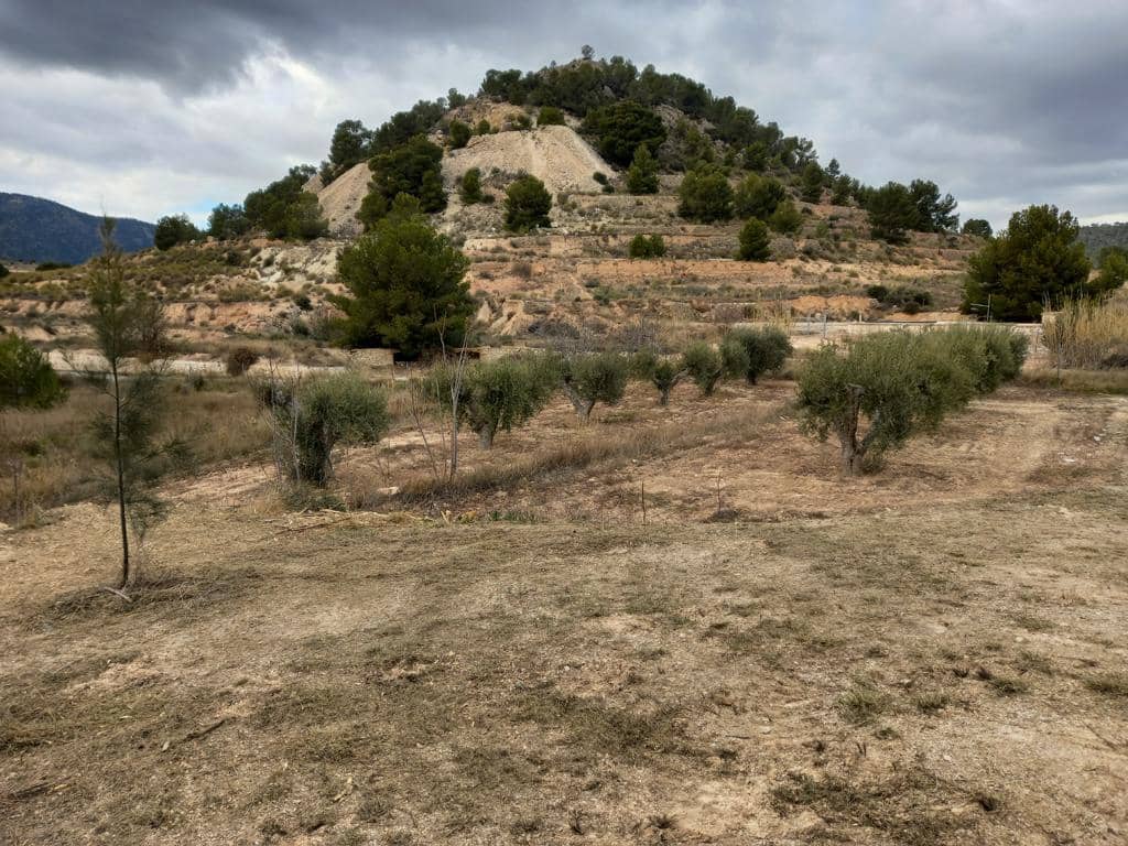 5 soverom Finca/Herregård til salgs i La Romana - € 110 000 (Ref: 7697062)