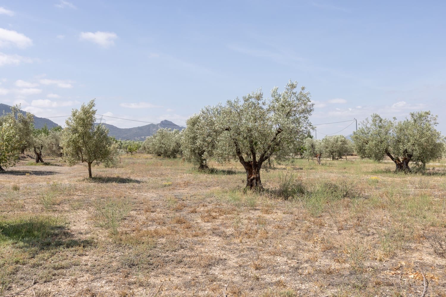 5 chambre Villa/Maison à vendre à Biar avec piscine garage - 499 000 € (Ref: 8341731)