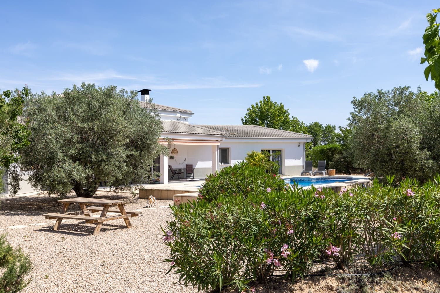 5 chambre Villa/Maison à vendre à Biar avec piscine garage - 499 000 € (Ref: 8341731)