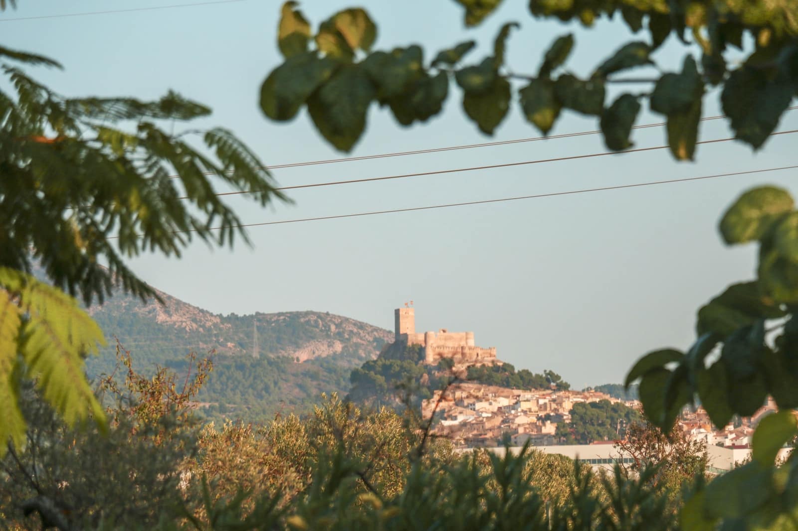 5 chambre Villa/Maison à vendre à Biar avec piscine garage - 499 000 € (Ref: 8341731)