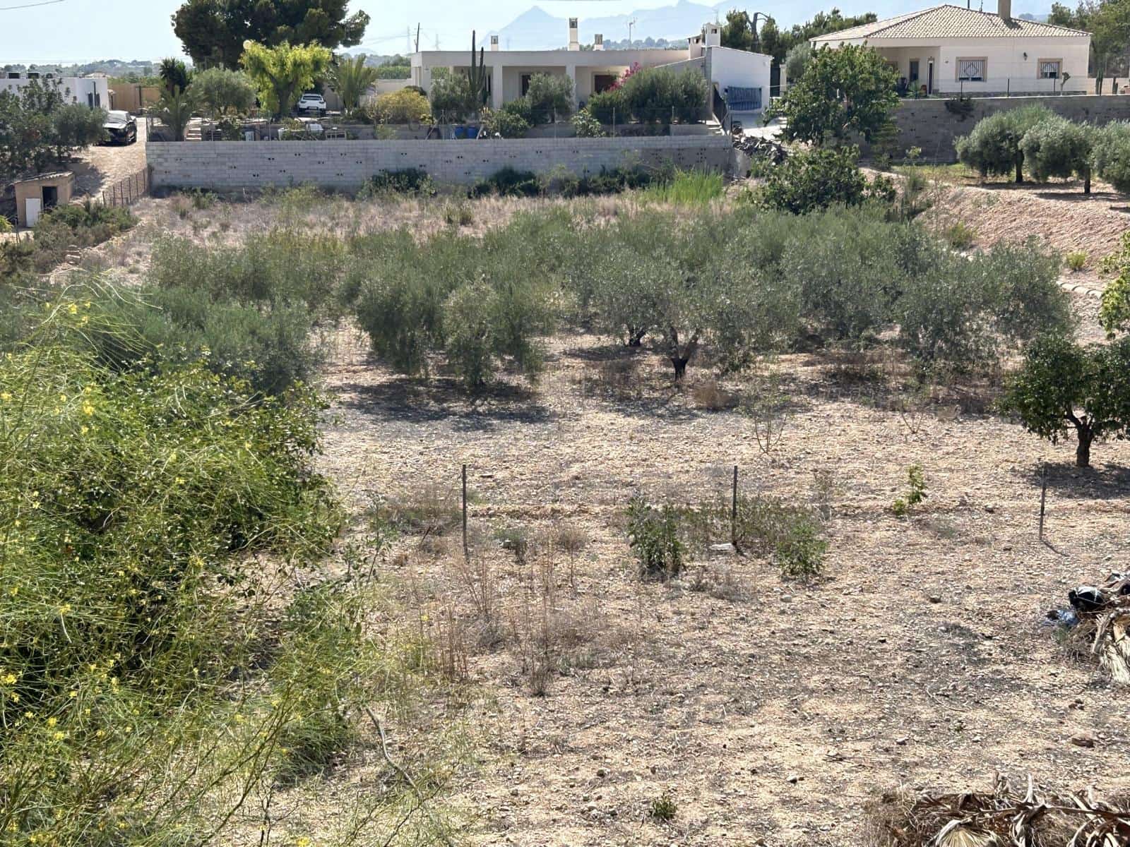 5 soveværelse Finca/Landehus til salg i Albatera med swimmingpool garage - € 420.000 (Ref: 8433203)